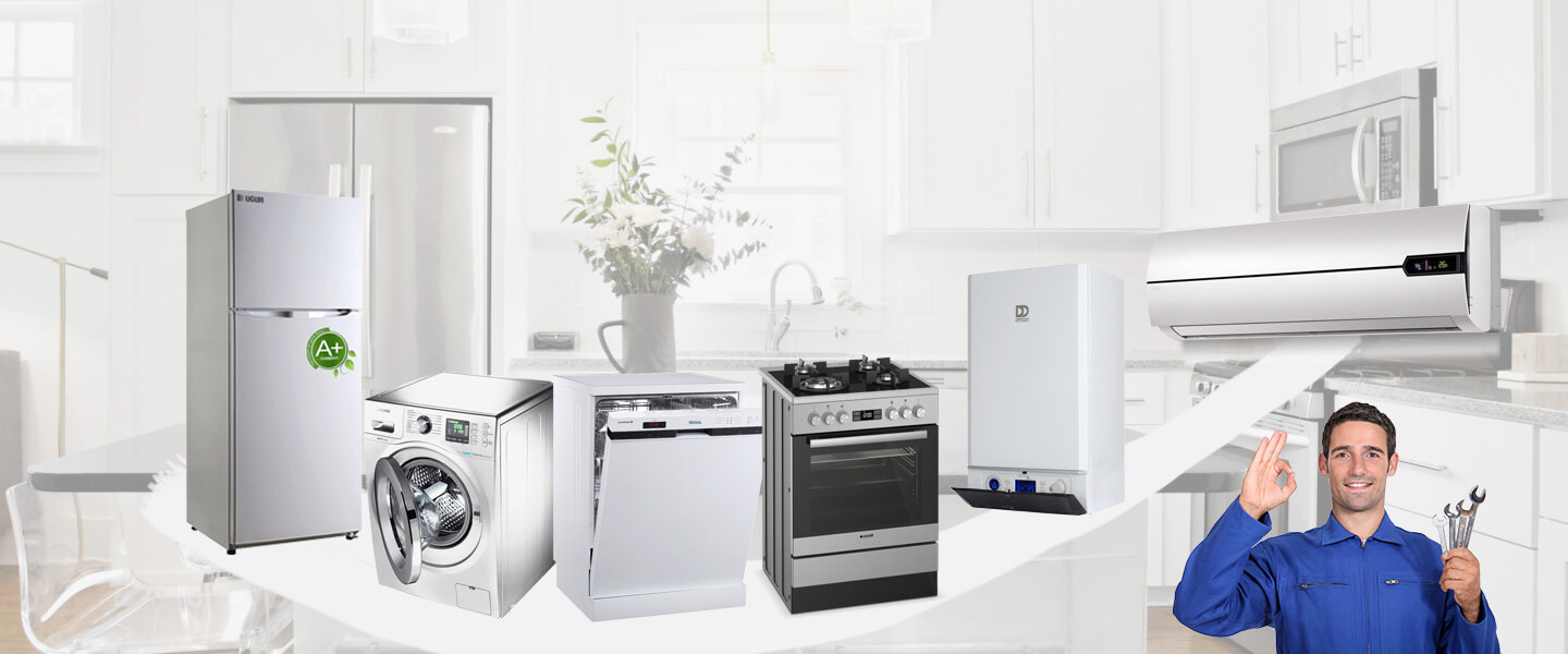 Ortaca Dominox Servisi